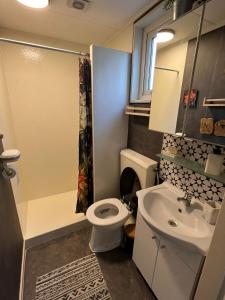 a bathroom with a toilet and a sink at Veluwse Vlucht in Putten +20 photos