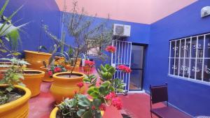 Zahrada ubytování Spacious flat with private gym and lovely private terrace