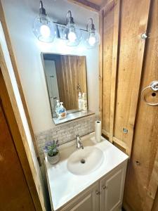un bagno con lavandino e specchio di The Auke Ridge Retreat Cabin - a Short Walk to the Harbor a Mendenhaven