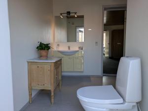 a bathroom with a toilet and a sink and a mirror at Restaurant Backhaus in Ribe