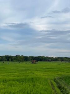 Paesaggio naturale nelle vicinanze del bed & breakfast