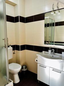 a bathroom with a toilet and a sink and a mirror at apartman MLIN 4 in Lun