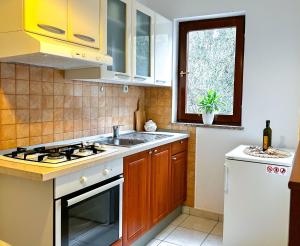 a kitchen with a sink and a stove top oven at apartman MLIN 4 in Lun +17 photos