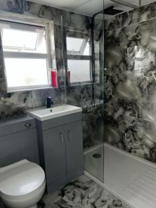 a bathroom with a toilet and a sink and a shower at Modern Studio Flat In A Guest House In Basildon in Basildon