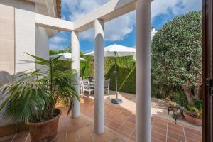 Zahrada ubytování Villa Teulera