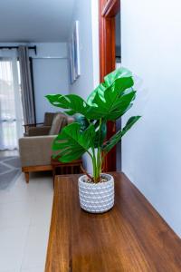 Afbeelding uit fotogalerij van Timeless Stays in Arusha