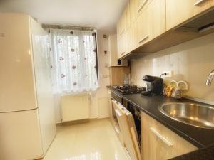 a small kitchen with a sink and a window at Musetesti Residential in Bucharest +20 photos