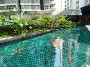 Bazén v ubytování Elevated Horizons Hostel & Infinity Suites Skypool nebo v jeho okolí