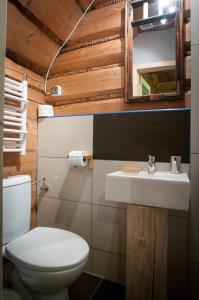 ザコパネにあるLegenda Tatrのバスルーム(トイレ、洗面台、鏡付)