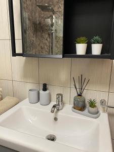 a bathroom sink with three plants on top of it at Apartma Izola in Izola +18 photos