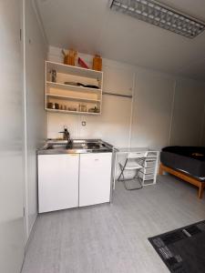 a small kitchen with a sink and a refrigerator at Wohncontainer in der Nähe von Schwanenstadt - Bergern in Rutzenham