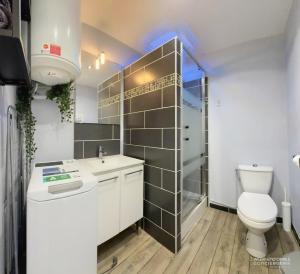 a bathroom with a toilet and a sink and a shower at Appartement Sunrise au pied de la plage in Merlimont +9 photos