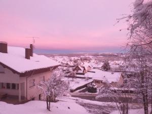 Příroda nedaleko apartmánu