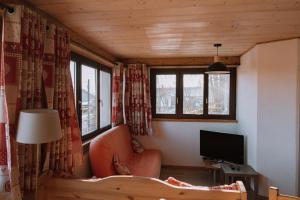 TV a/nebo společenská místnost v ubytování Gîte Le p'tit Chasseral