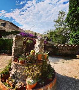 Vonkajšia záhrada v ubytovaní Masia Mimosa Jardin