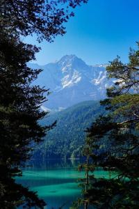 a view of a lake with trees and a mountain at Oberland-Ferienwohnung-Puerschling-Wurmansau-inkl-Koenigscard in Unterammergau