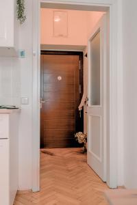 Fotografie z fotogalerie ubytování Cosy central apartment in Žižkov v Praze