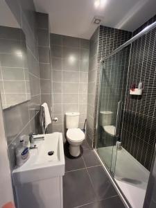 a bathroom with a toilet and a shower and a sink at Comfortable one-bedroom apartment Free parking space in Edinburgh