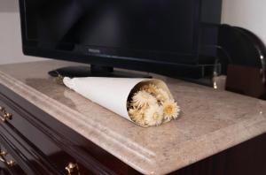 un rotolo di carta igienica seduto su un tavolo di fronte a una televisione di Le Vitry - Calme, terrasse, proche Paris a Vitry-sur-Seine