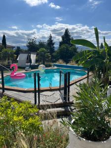 a swimming pool with a pink flamingo in a garden at Les Etoiles du mont d'Uzore in Chalain-dʼUzore