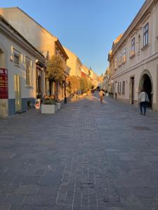 an empty street with people walking down the street at White Nest in Pécs