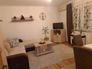 バチュカ・パランカにあるApartaman Sweet Homeのソファとテレビのあるリビングルーム