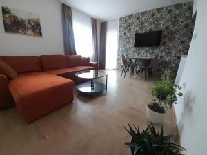 TV a/nebo společenská místnost v ubytování Apartmani Radmanovic