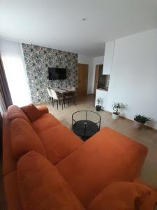 TV a/nebo společenská místnost v ubytování Apartmani Radmanovic