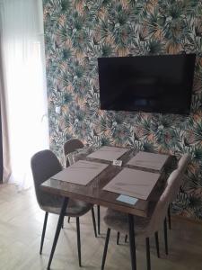 TV a/nebo společenská místnost v ubytování Apartmani Radmanovic