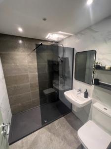a bathroom with a shower and a sink and a toilet at Modern Two Bed House With EV Off Road Parking in Henwick