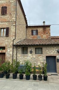 een bank voor een bakstenen gebouw met planten bij La Gatta sul Tetto in Castiglione del Lago