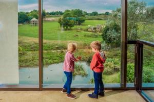 two young boys looking out of a window at a field at Chessington Resort Hotel in Chessington