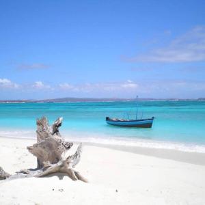 Foto sihtkohas Watamu asuva majutusasutuse Beach Villa Watamu galeriist