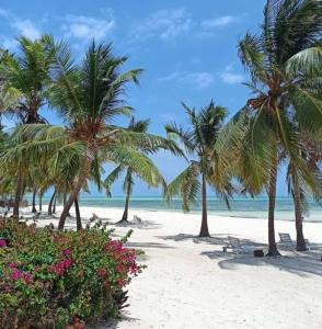 Foto sihtkohas Watamu asuva majutusasutuse Beach Villa Watamu galeriist