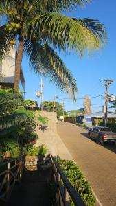 a palm tree next to a street with a car at Pousada Capim Açu in Fernando de Noronha