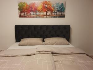a bed with a black headboard and two pillows at Ferienwohnung in einer idyllischen Lage in Bremerhaven