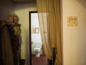 baño con aseo y puerta con cortina en Can Silvestre, en Riudarenes