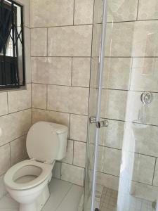 a bathroom with a toilet and a shower at Mohwelere Guest House in Pretoria