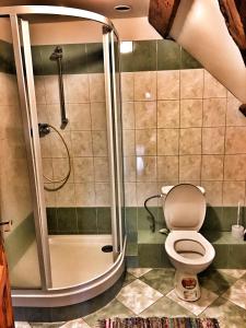 La salle de bains est pourvue d'une douche et de toilettes. dans l'établissement Penzion Pegas Depoltovice, à Nová Role