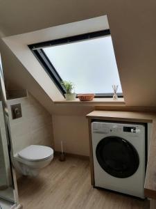 a bathroom with a toilet and a washing machine at Appart Terrasse in Strasbourg +27 photos
