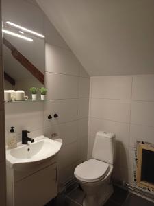 Koupelna v ubytování Kungsgården BnB