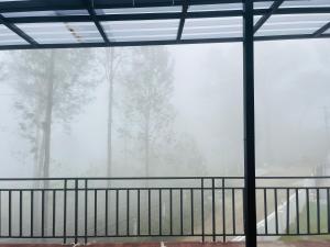 Foto sihtkohas Yercaud asuva majutusasutuse Leaves galeriist