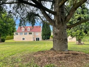 a large tree in front of a large house at Maison de Philippe in Passy-sur-Marne