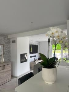 a vase of flowers on a table in a living room at Maison de Philippe in Passy-sur-Marne
