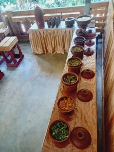 Comida en el resort o alrededores