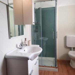 a bathroom with a sink and a glass shower at Apartaments Sanja Novigrad in Dajla
