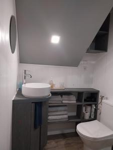 een badkamer met een wastafel en een toilet bij La petite cabane du pecheur in Honfleur +20 foto's