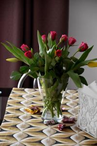 Fotografie z fotogalerie ubytování Travel Apartament Cracow v Krakově