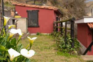 Billede fra billedgalleriet på Apartamentos Aires Del Aramo i La Vara + 126 billeder