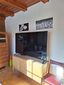 TV a/nebo společenská místnost v ubytování Haus Redtenbacher